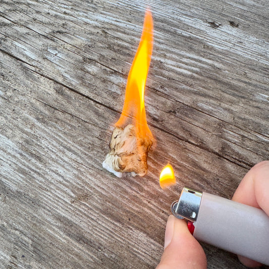 Tinder-Quik Fire Tabs (10-Pack)