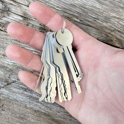 18-Piece Warded & Jiggler Pick Set